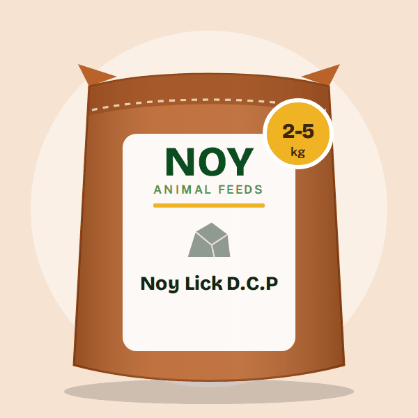 Noy Lick D.C.P by Noy Animal Feeds